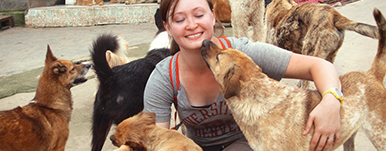 Student in Chinese animal shelter