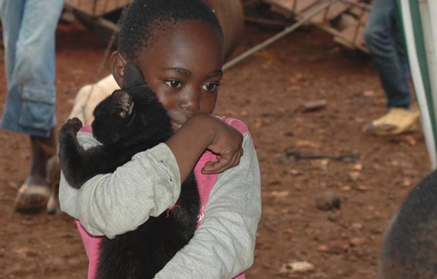 Child carrying cat