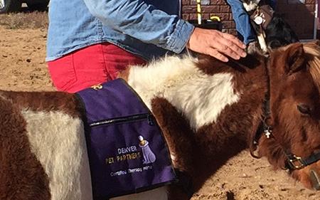IHAC students with mini horse