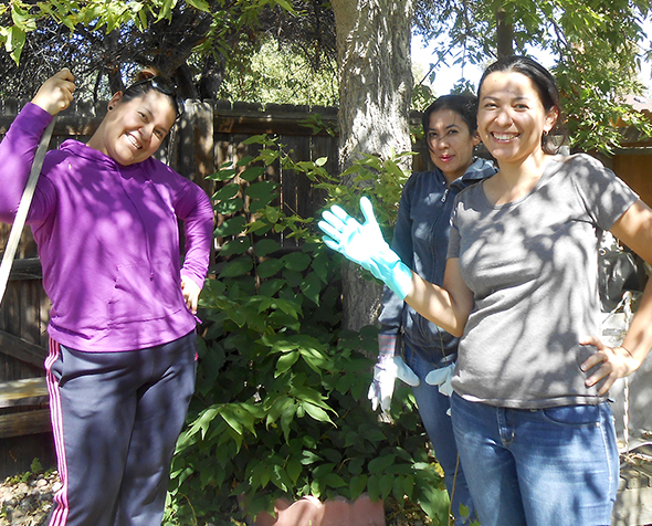 Timebanking volunteers